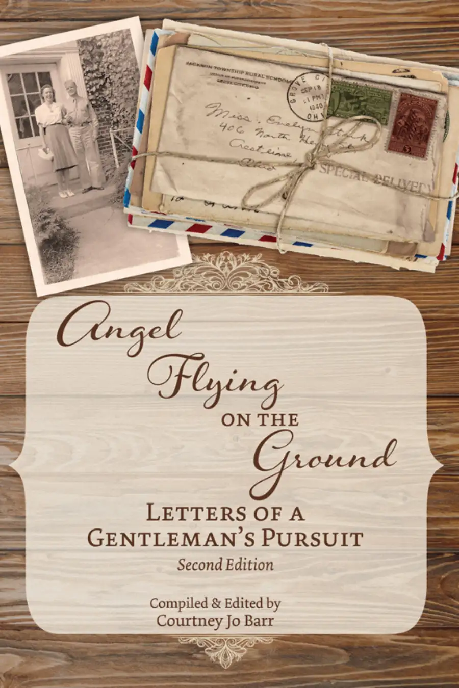 Angel Flying on the Ground: Letters of a Gentleman's Pursuit Image